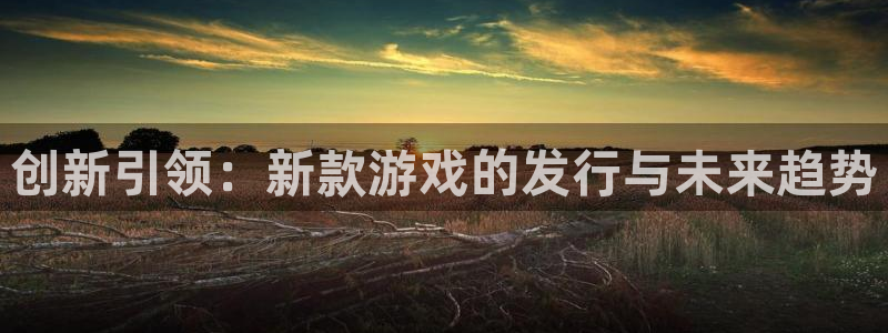 陕西火狐电竞app官网子文化创意有限公司是做什么的：创新引领：新款游戏的发行与未来趋势