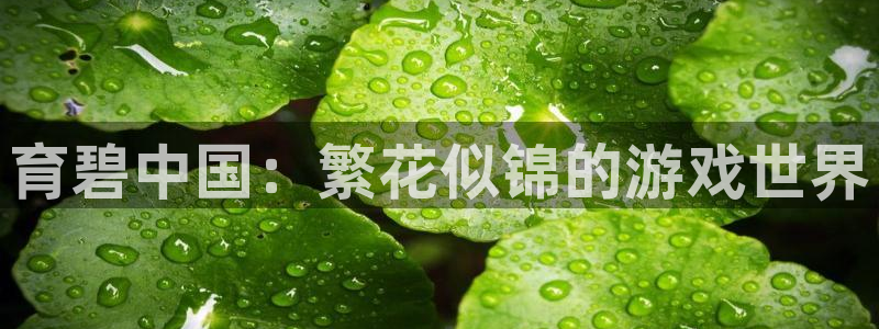 作者火狐电竞app官网子小说：育碧中国：繁花似锦的游戏世界