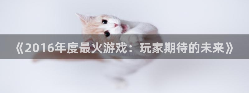 火狐电竞app官网科技