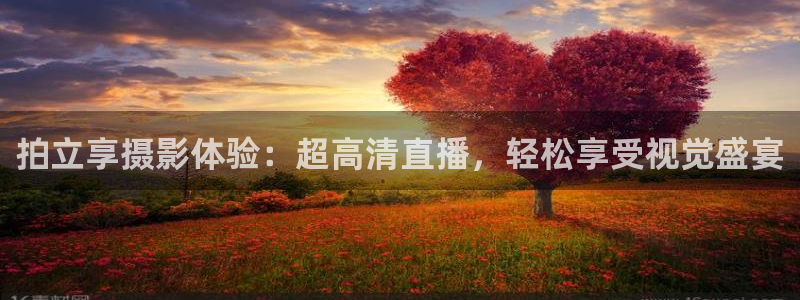 nba小九直播：拍立享摄影体验：超高清直播，轻松享受视觉盛宴