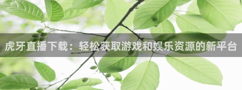 小九直播免费：虎牙直播下载：轻松获取游戏和娱乐资源的新平台