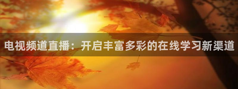 小九nba直播在线观看高清免费：电视频道直播：开启丰富多彩的在线学习新渠道