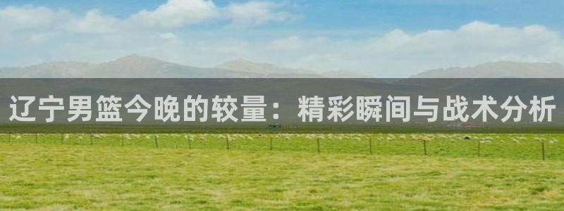 小九体育直播：辽宁男篮今晚的较量：精彩瞬间与战术分析
