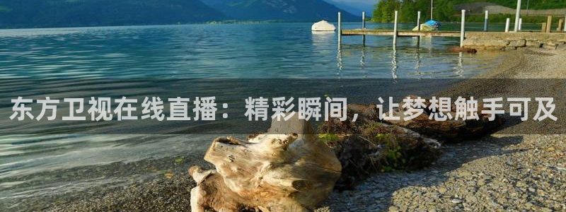 nba小九直播：东方卫视在线直播：精彩瞬间，让梦想触手可及