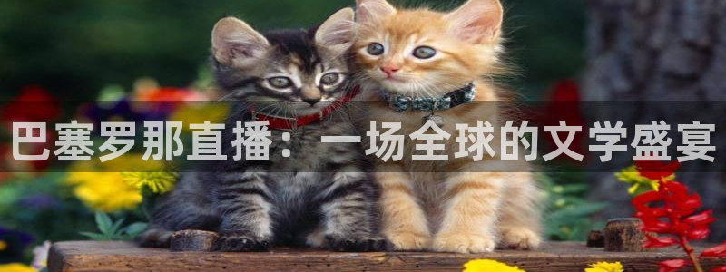 nba免费直播在线直播小九：巴塞罗那直播：一场全球的文学盛宴