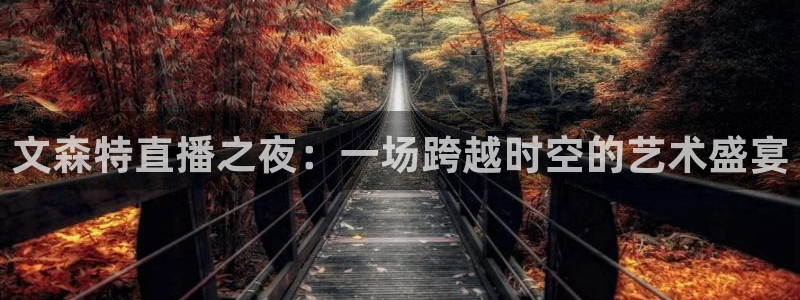 小九儿直播：文森特直播之夜：一场跨越时空的艺术盛宴