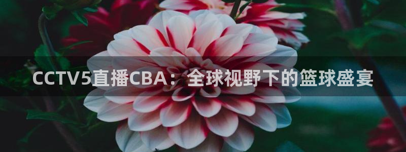 足球直播小九直播：CCTV5直播CBA：全球视野下的篮球盛宴