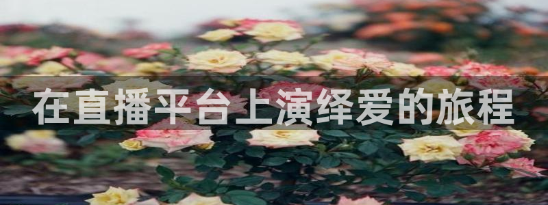 小九直播体育：在直播平台上演绎爱的旅程